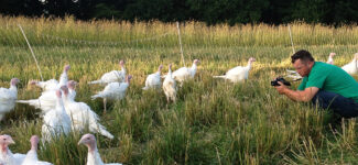 New Site Photo Post New Site Photo Post