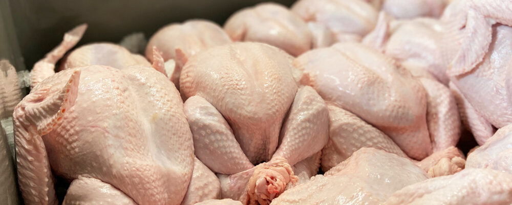 Fresh or Frozen Slide Fresh or Frozen Slide