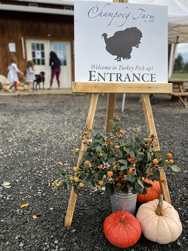 Pickup at the Farm Rosehips